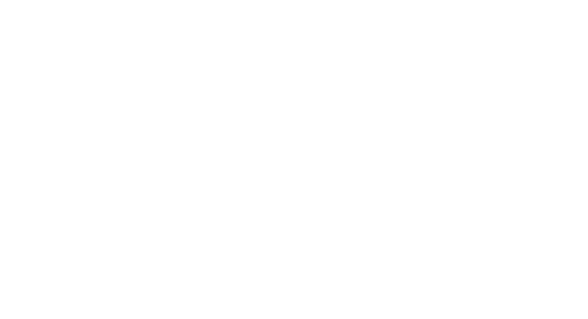 logo-detailer-blanco